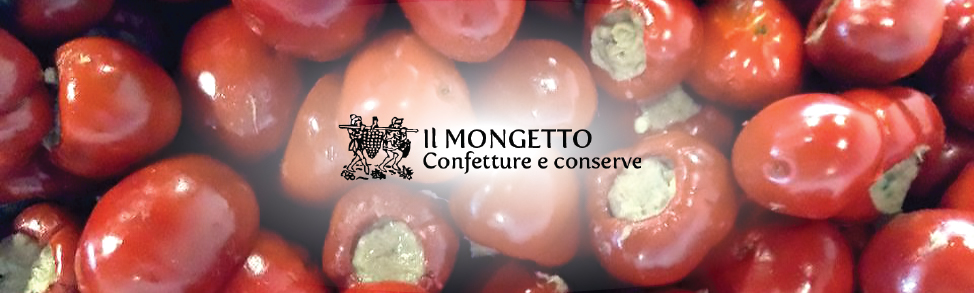 Il Mongetto