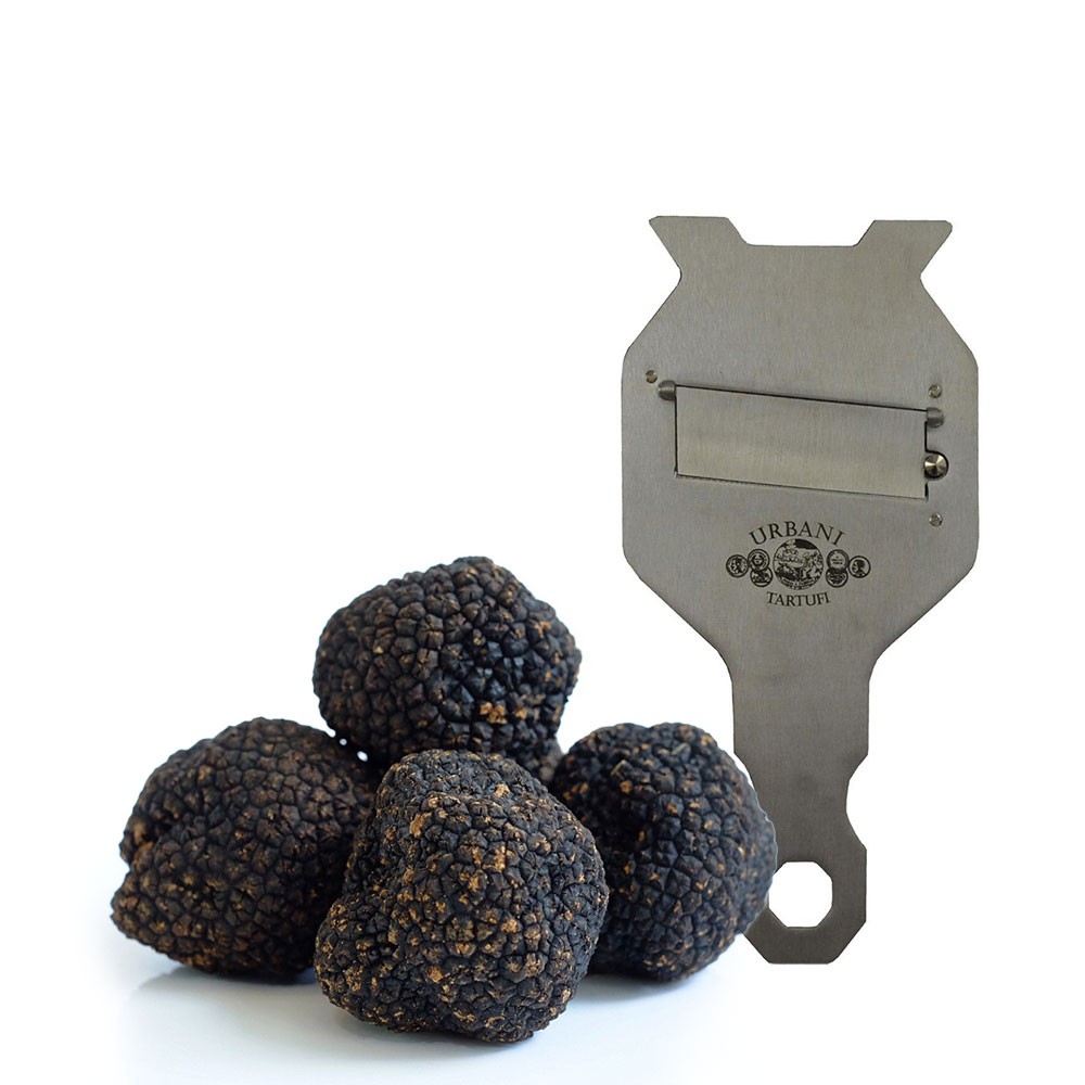Fresh Black Summer Truffles and Slicer Urbani Eataly