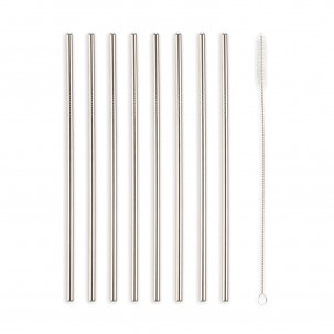 Stainless Steel Straws - Set of 10