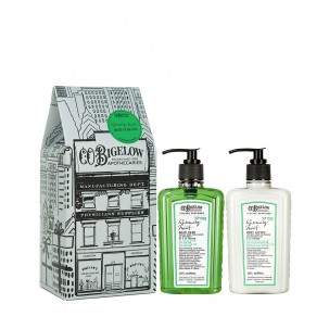 Rosemary and Mint Scented Hand Wash & Body Lotion Set