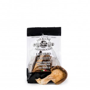Dried Porcini Mushrooms 1 oz